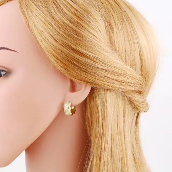 Wholesale 1 Pair Ig Style Fashion Simple Style Round Plating Inlay Copper Zircon 18k Gold Plated Earrings