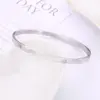 Wholesale Modern Style Solid Color Stainless Steel Bangle In Bulk