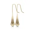 Wholesale 1 Pair Elegant Water Droplets Titanium Steel Plating Drop Earrings