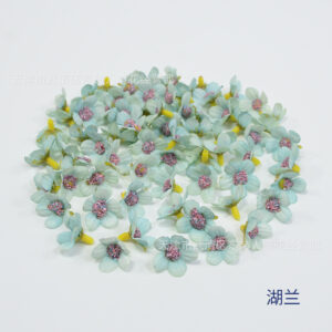 Lake orchid / About 2cm in diameter