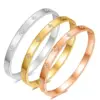 Wholesale Simple Style Solid Color Titanium Steel Plating Inlay Gold Plated Zircon Bangle