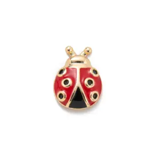 Ladybug Accessories