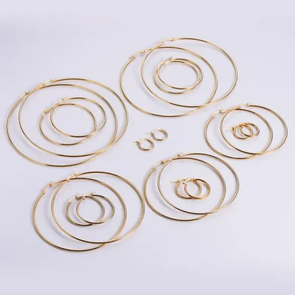 Wholesale 1 Pair Simple Style Circle Plating 304 Stainless Steel No Inlaid 18K Gold Plated Stainless Steel Earrings