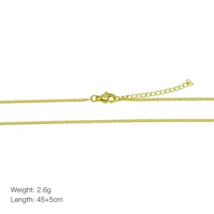 Dn240707-I (Side Extension Chain-Gold)