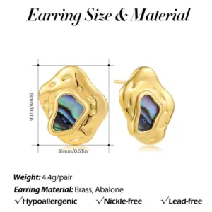 Irregular Abalone Shell Earrings 22412_5
