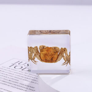 Crab 6 Beats / 38mm*38mm*14mm