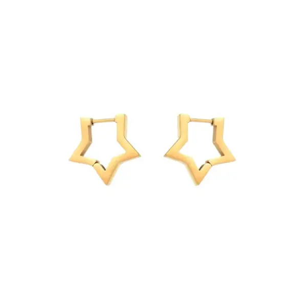 Wholesale PVD Coated 18K Gold Plated Pentagram Heart Shape Stainless Steel Commute Waterproof Non Tarnish Earrings