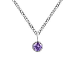 February Violet-Steel