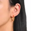 PVD Coated Real Gold Plated Circle 304 Stainless Steel Simple Style Waterproof Non Tarnish Earrings