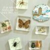 Wholesale Creative Real Insect Refrigerator Magnet Tourist Attractions Cultural and Creative Gift Souvenirs Cute Three-dimensional Magnetic Refrigerator Magnet