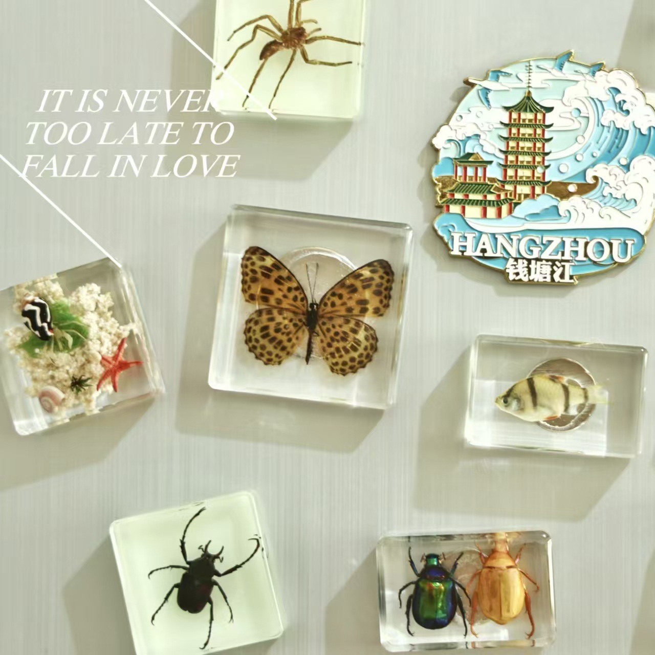 Wholesale Creative Real Insect Refrigerator Magnet Tourist Attractions Cultural and Creative Gift Souvenirs Cute Three-dimensional Magnetic Refrigerat