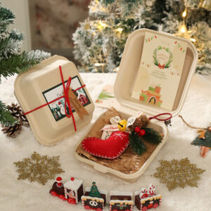 Style five (boxed) / Christmas pendant