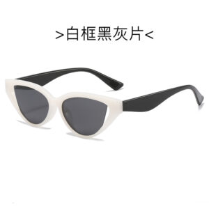 Figure (polarized) / White frame Black gray sheet