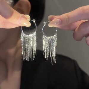 Wholesale Metal Cold Style Exaggerated Tassel Earrings European and American Design Sense Fashion Retro Earrings Personalized Light Luxury Long Earrings