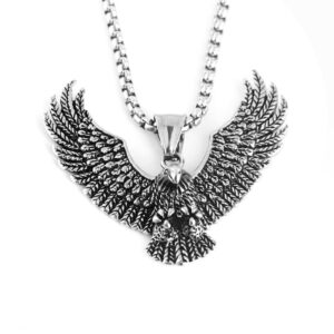 Pendant + stainless steel chain