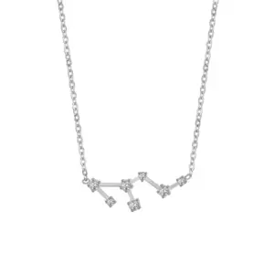 Lion Constellation / White