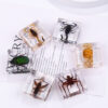 oly-7c53b20c9c97a48e4e64130739de7bc9 Wholesale Square resin insect and animal specimen amber craft ornament