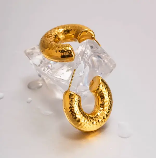 1 Pair IG Style Simple Style C Shape Plating 304 Stainless Steel Titanium Steel 18K Gold Plated Earrings