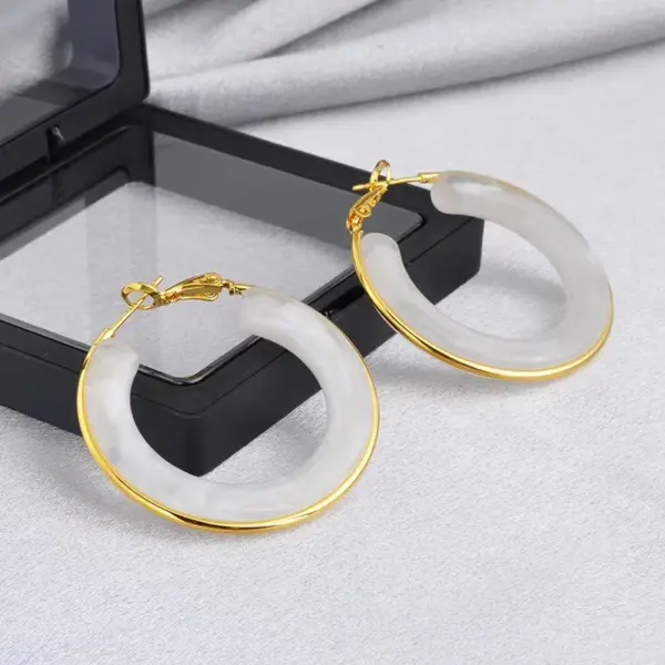 Wholesale 1 Pair Retro Exaggerated Circle Round Plating 304 Stainless Steel Arylic Resin 18K Gold Plated Hoop Earrings