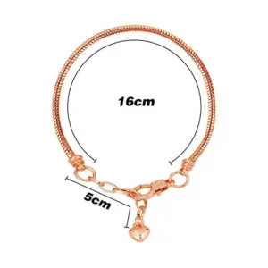 16 5 Basic Connection (Rose Gold)