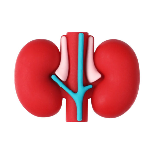 oly-7f36c8c4e9aa5c6a6f38e9fa063fa5e0 Wholesale Medical and Nursing Educational Silicone Beads