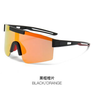60-17-125 / Black frame orange slices
