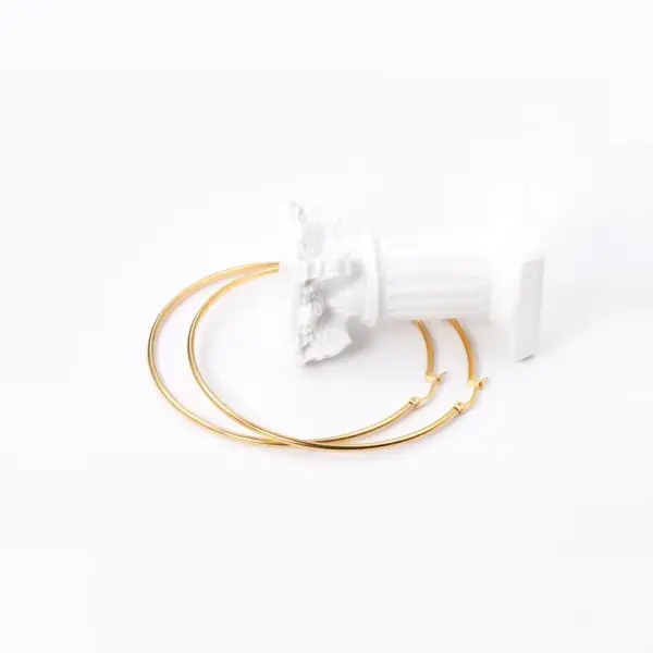 Fashion Circle Stainless Steel Plating Earrings 1 Pair