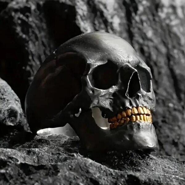 Wholesale 2024 foreign trade new old skull ring wholesale European and American retro punk style skull ring