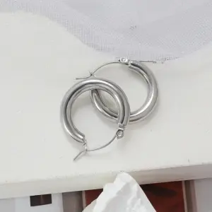 A Pair of Steel Earrings