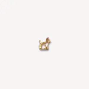 Kitten Accessories