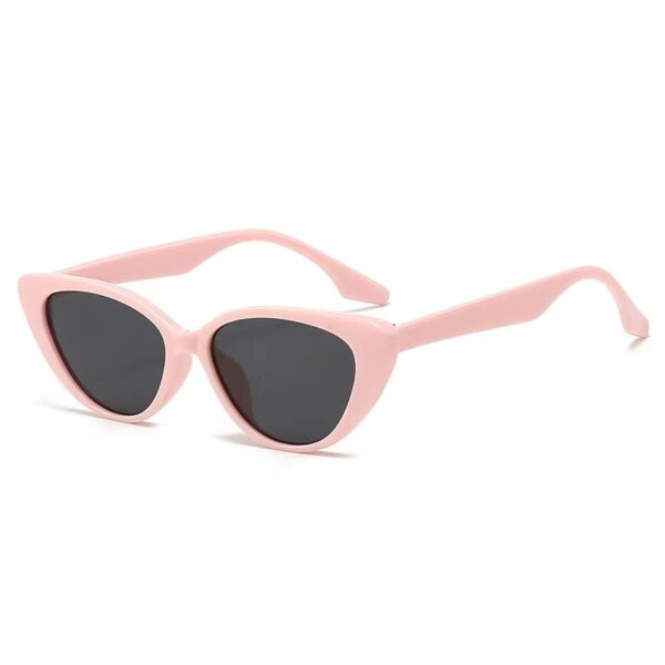 Wholesale Fashion trend high-end all-match sunglasses men's pink cat's eye sunglasses women's brown glasses 1063