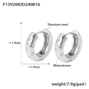 F1592-Steel earrings