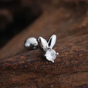 3454 Silver / Ear Studs