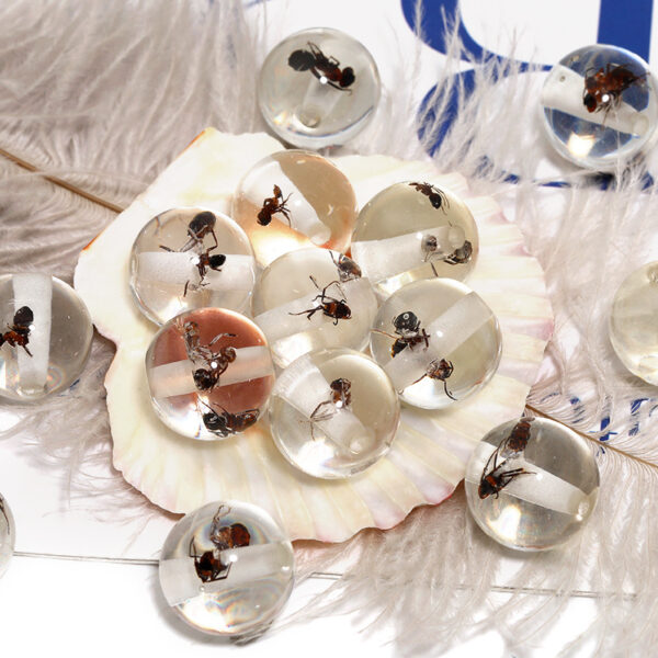 Wholesale New Hot Sale Ant Transparent Beaded High Transparent Acrylic Through Hole Beads Scattered Beads DIY Beaded Pen Accessories Beaded