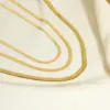 PVD Coated Real Gold Plated Solid Color 304 Stainless Steel Simple Style Streetwear Waterproof Non Tarnish 304 Stainless Steel Necklace