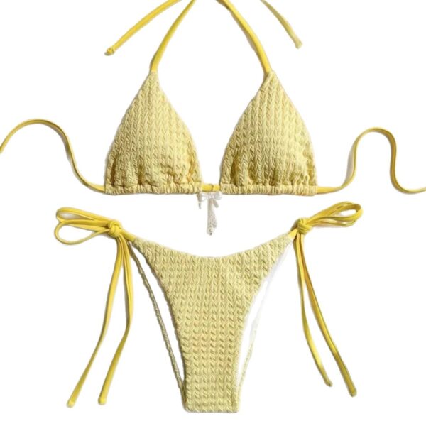 oly-861c6fc8c2f888ce206db4a149b5f253 Wholesale 2025 Europe and the United States cross-border new swimsuit women's sexy backless strap solid color bikini bikini for foreign trade