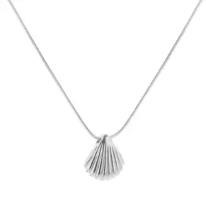 Qyh6069 Shell Necklace / Steel Color
