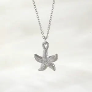Nab04-1 Silver Starfish
