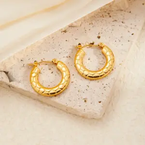 Texture Eardrop Earring
