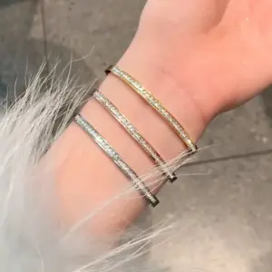 Wholesale Titanium Steel Elegant Simple Style Round Plating Inlay Zircon Bangle