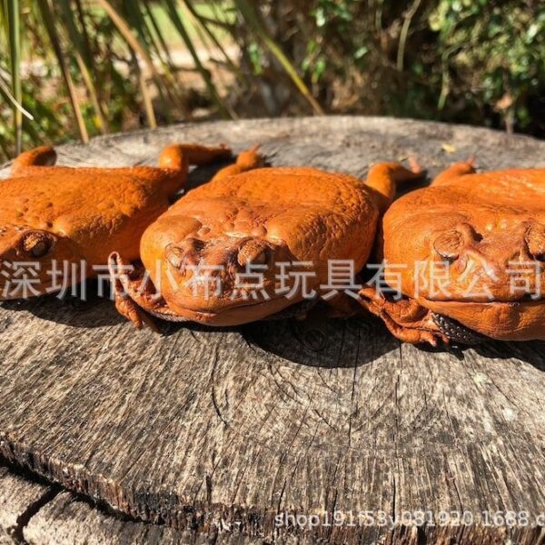 Wholesale [Cross-border Hot Selling] Sugar Cane Toad full-body purse toad toad full-body wallet