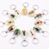 oly-89465554571fc9f58103738dd115510c Wholesale Large Amber Glow-in-the-Dark Insect Keychain