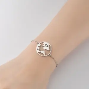 Map / Steel Color