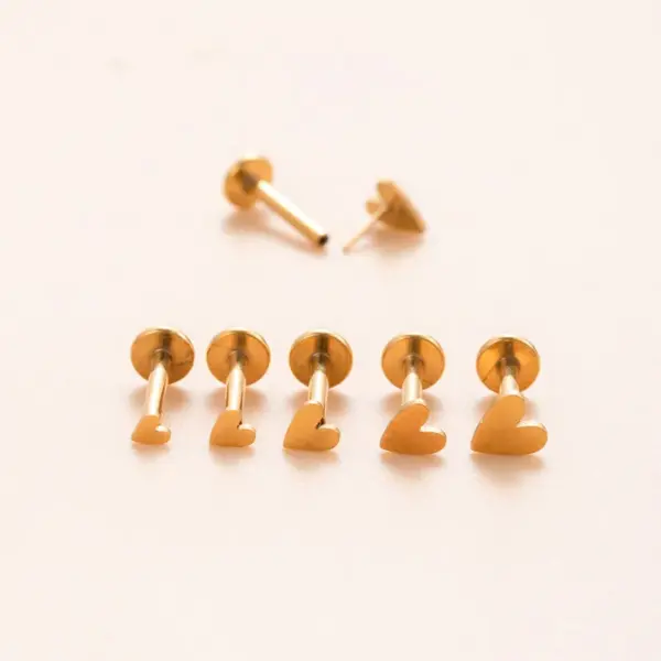 Wholesale 1 Piece Ear Cartilage Rings & Studs Casual Classic Style Geometric Titanium Alloy Heart