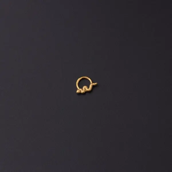 316L Stainless Steel No Inlaid Ear Cartilage Rings & Studs Animal Waterproof Non Tarnish Surgical Steel