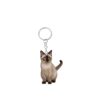 oly-8a6da47844a3f6fe0b0d1c179012bf98 Wholesale Cute cat keychain, acrylic round ring accessories, 2D flat double-sided printing pendant