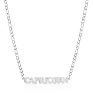 Steel Capricorn