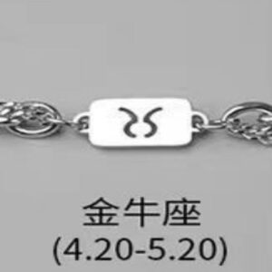 Taurus necklace bracelet combination