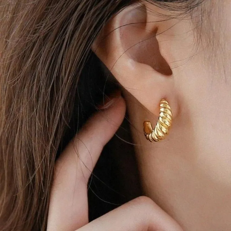 Wholesale 1 Pair Simple Style Twist Plating 304 Stainless Steel Stainless Steel Earrings