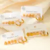 Wholesale 1 Set Basic Simple Style Geometric Flower Irregular Plating Titanium Steel Earrings Ear Studs